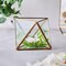 9" tall Clear Gold Geometric Glass Terrarium Vase Metal Frame Home Centerpieces